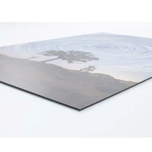 Impresión De Fotos En Alupanel